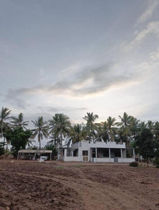 Mandvi Villa | Panjo Kutchdo Farmstay