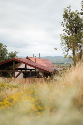 Lugasu de Jos House | Panorama Lugasu