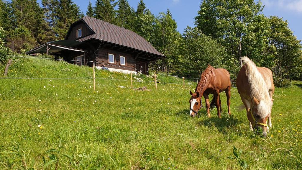 Korna Ski Chalet | PANORAMA RANČ