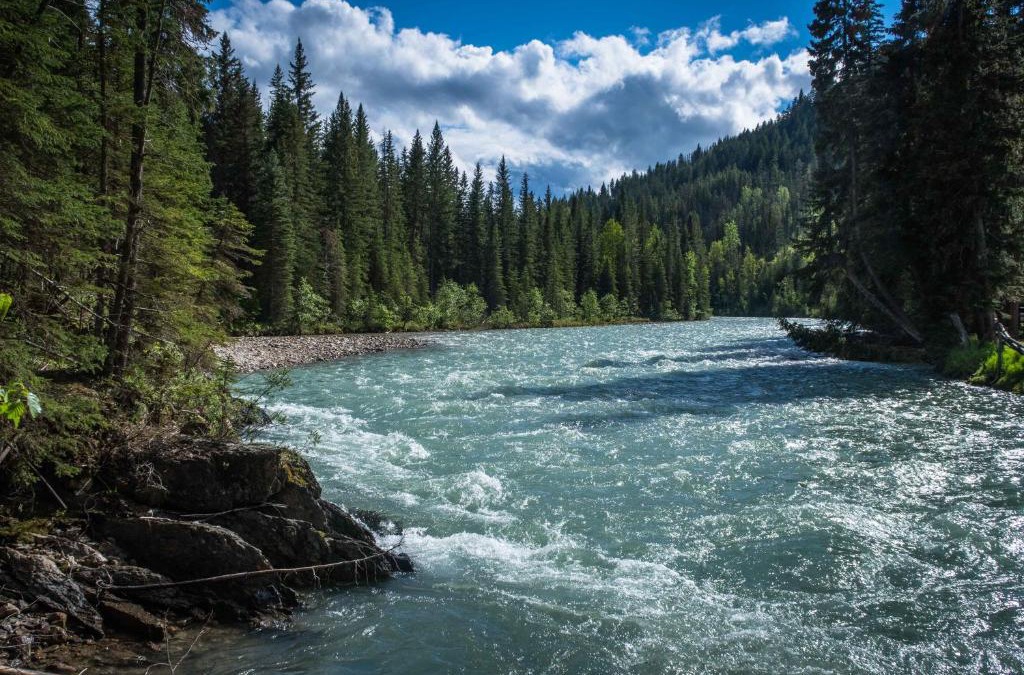 East Kootenay Apartment | Panorama Vacation Retreat at Horsethief Lodge