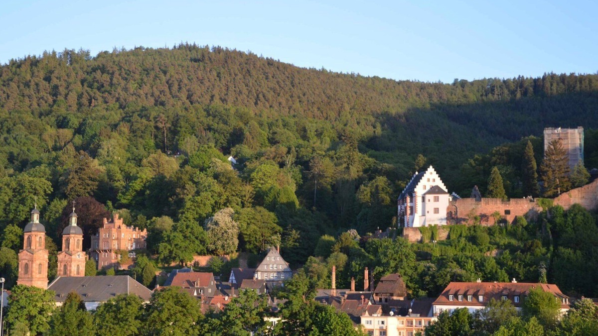 Miltenberg Apartment | Panorama view Miltenberg, 3 pers., central, on the Main, terrace, boat rental, P