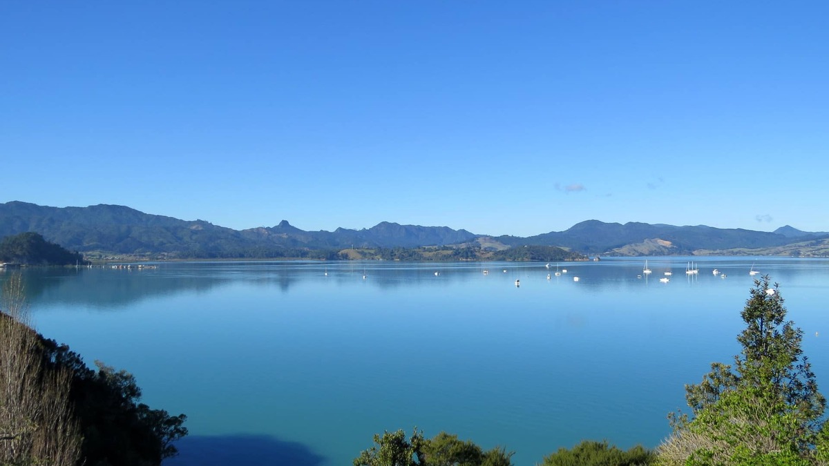 Coromandel House | Panoramic Harbour Views-Indoor/Outdoor Living-Unlimited Internet/Smart TV/Quiet