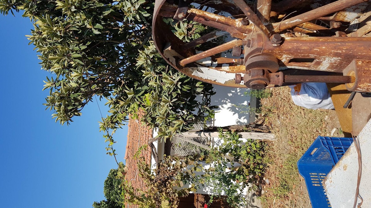 Soke Cottage | Panoramic nature dwellings with pine forest, olive valleys, sea and gre