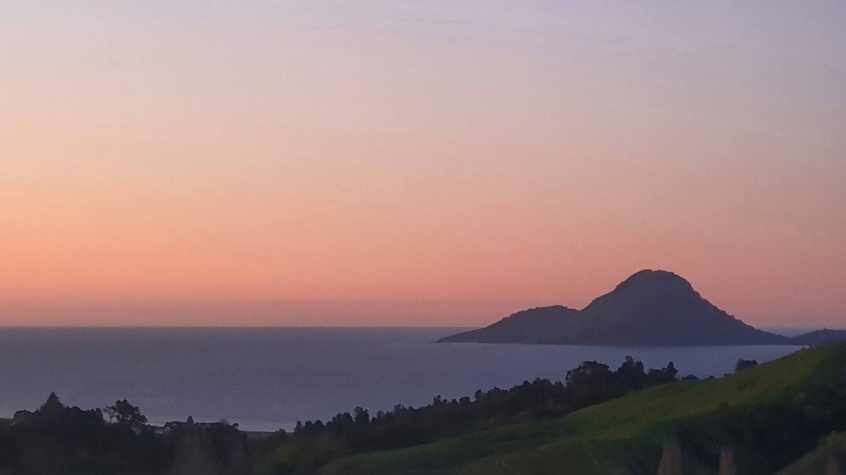 Bay of Plenty Region House | Panoramic sea views