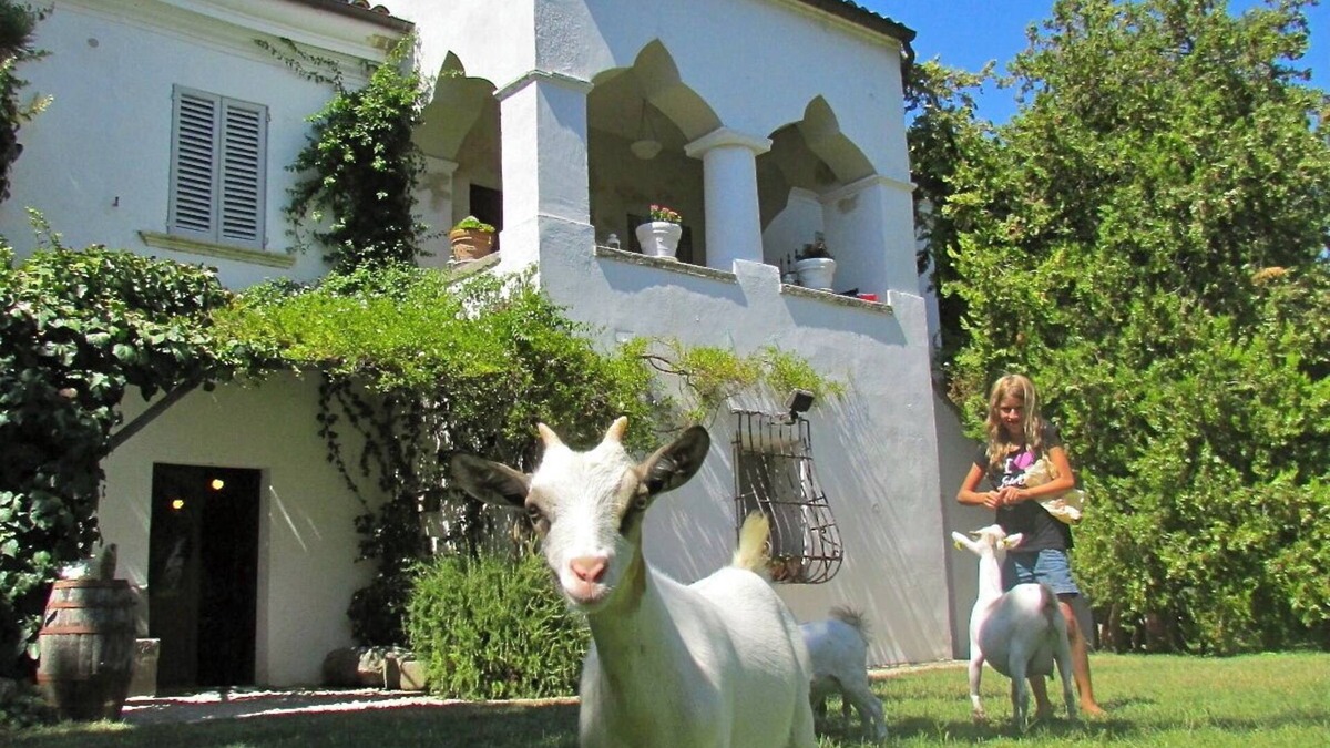 Tocco da Casauria Other | PANORAMIC SUITE in the GARDENS: small cottages (x 2-4 p) between mounts & beach