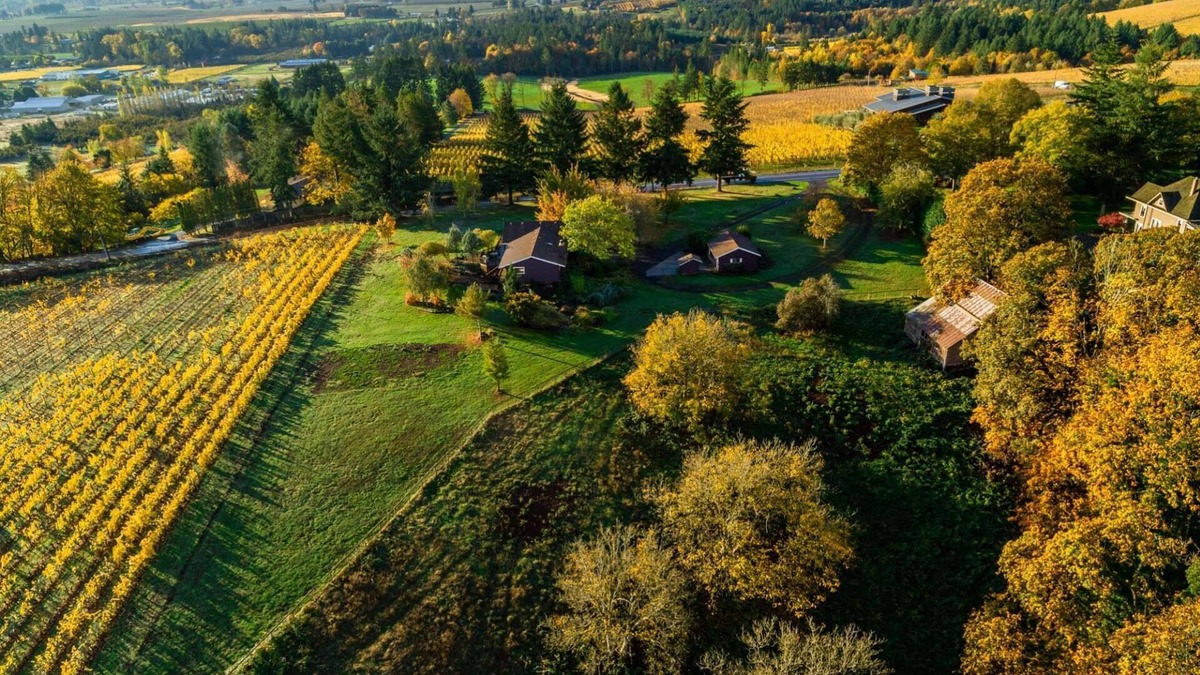 Dundee House | Panoramic Vineyard Views, Pet Friendly, New Deck, Game Room, Ping Pong, Darts, Walk to Vineyards
