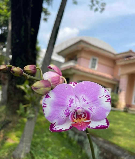 Citaringgul Villa | Papandayan Flowers House Villa