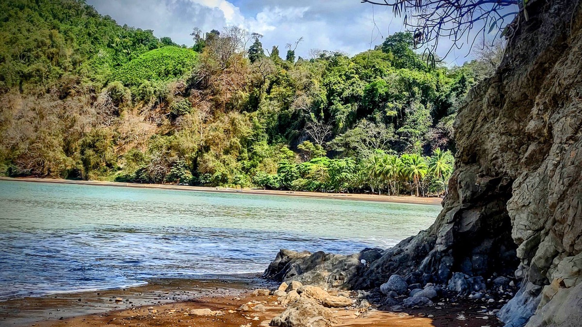 Tarcoles Condo | Paradise Found! Character filled close to beach, forest and amenities