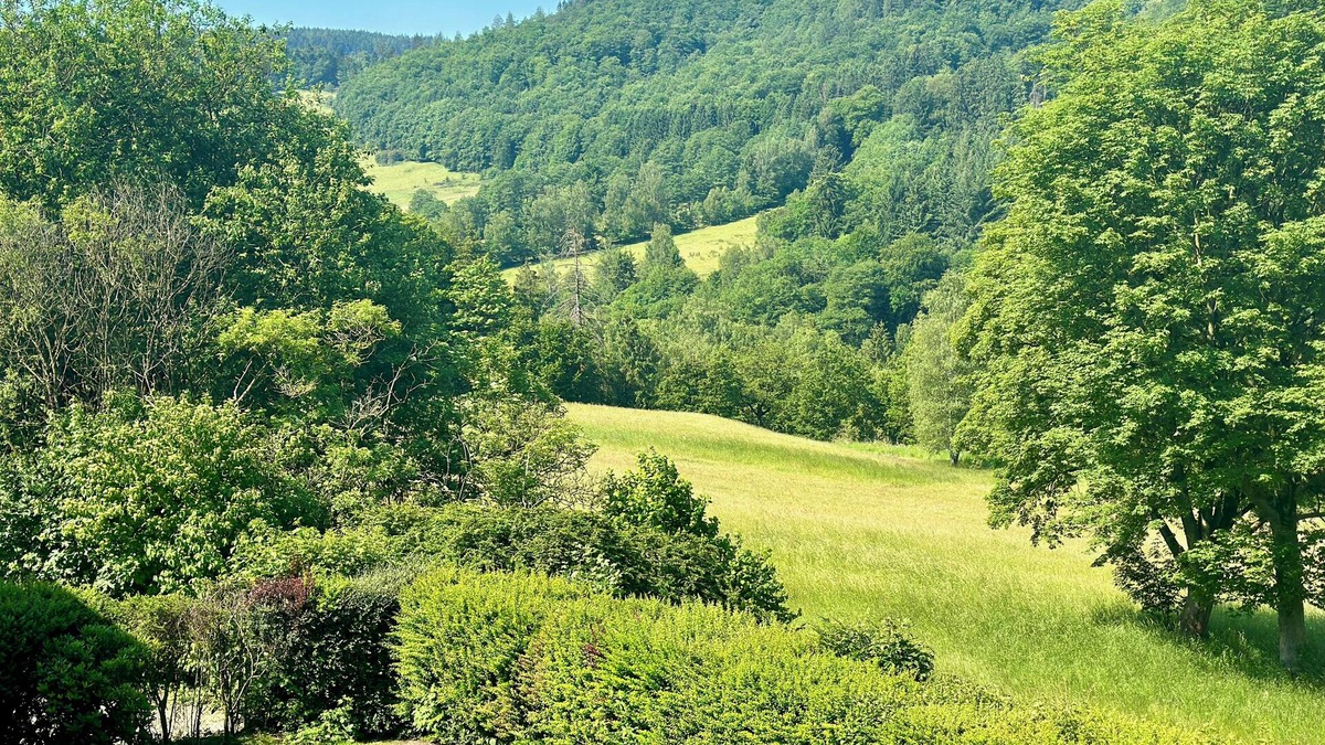 Langelsheim Apartment | Paradise for hikers and bikers in the middle of a nature reserve