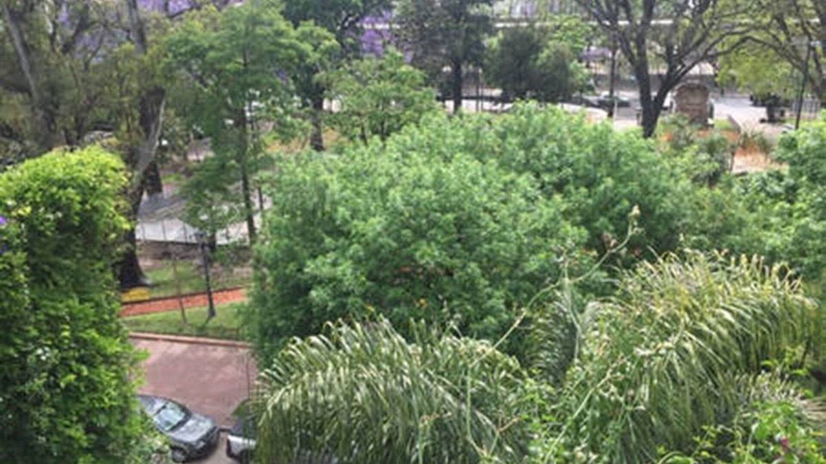 Barracas Apartment | Paradise in the City! San Telmo, Barracas, la Boca