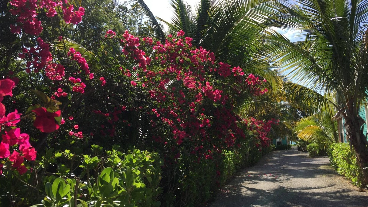 Freeport Cottage | Paradise on miles of white sandy beach and turquoise sea, private and secure.