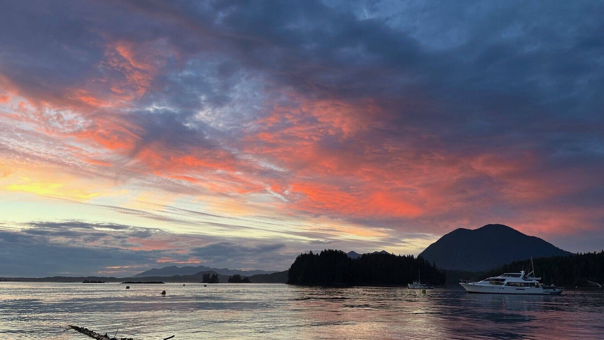 Tofino Boat Rental | Paradise On The Water Just 4 Minutes Across By Our Boat From Downtown Tofino!