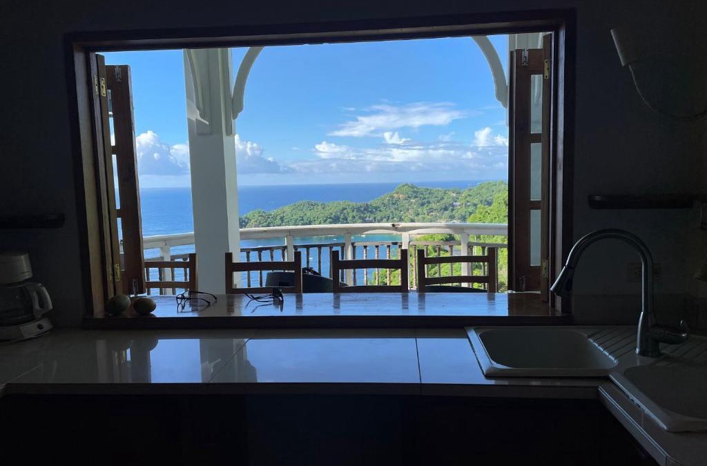 Castara Hotel | Paradise Point Villa