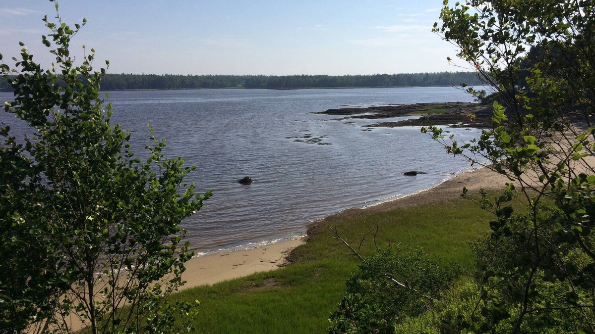 Milbridge House | Paradise! Share our private peninsula & beach, vacation or year-round