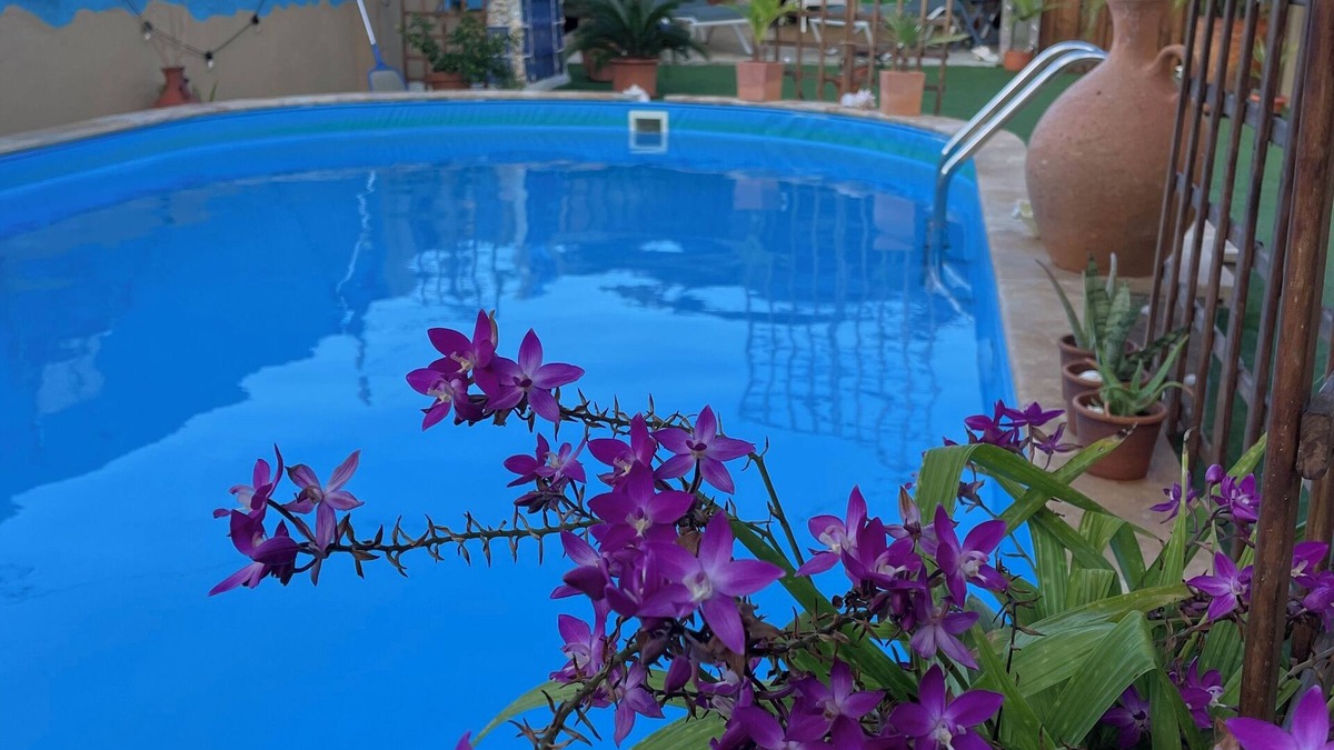 Turibana House | Paradise tranquility with private pool starts with this vacation rental in Aruba