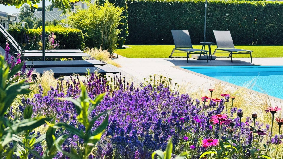 Bodman-Ludwigshafen Apartment | Paradisio Poolsuite Sundeck in Bodman on Lake Constance