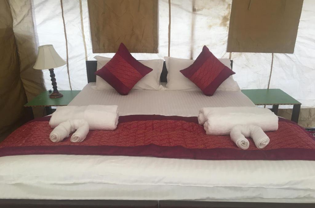 Nubra Valley Other | Paramount Camp