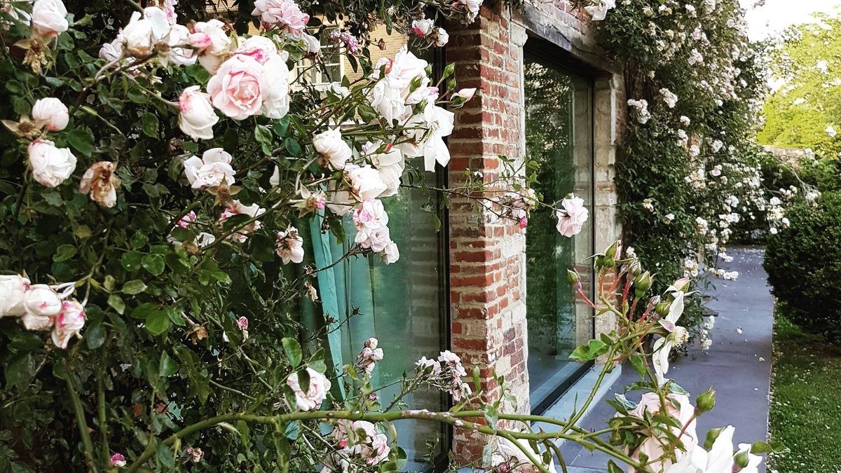 Huldenberg Bed & Breakfast | Park 7