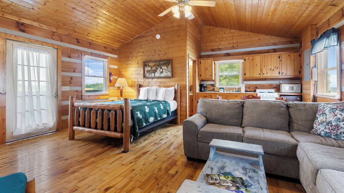 Fancy Gap Cabin | Parkway Lodge with Jacuzzi and Mountain Views! Cabin 11