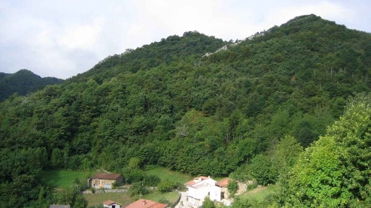 Campo de Caso Apartment | Parque Natural de Redes. Apartamento Compl. 3 Dormitorios y Espect. Vistas