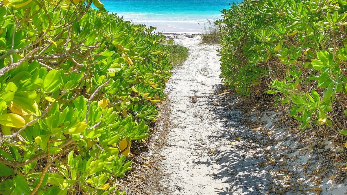 Crossing Rocks Cottage | Parrots Perch Beach Cottage - charming tropical island living w/ modern comforts