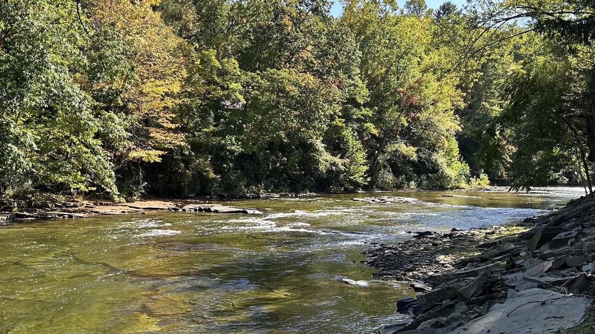 Black Fork House | Parsons Riverside Retreat: Steps away from a rolling mountain stream and trails