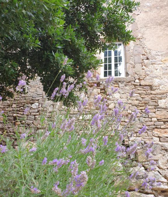 Canet Villa | Partie de Château du XI ieme à Canet d'Aude