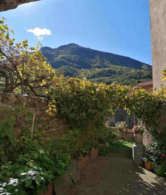 Sahorre Bed & Breakfast | Pati del sol