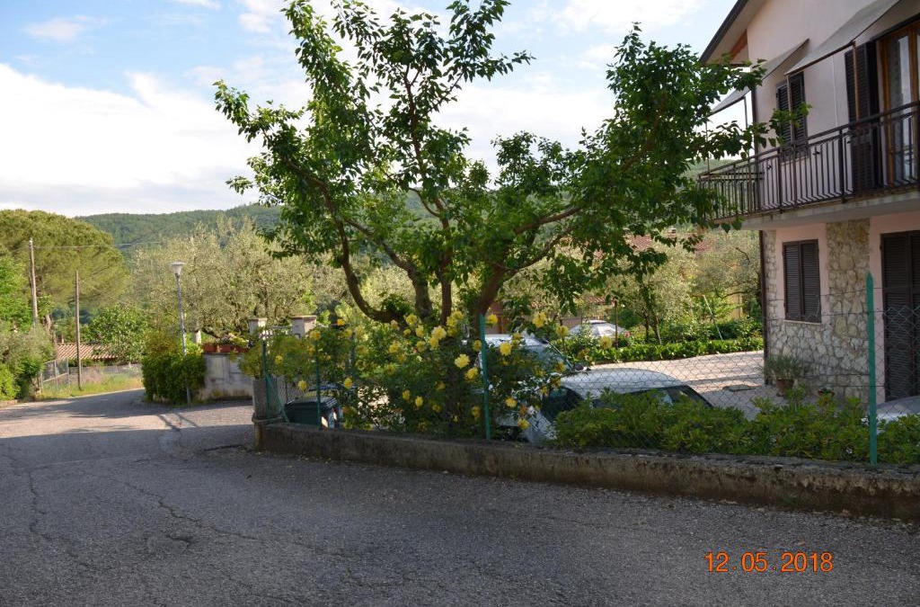 Collesanto House | Patrizia Boldrini