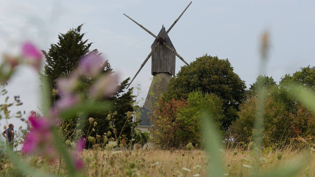 Brissac Loire Aubance House | Peace and quiet in the Loire Valley countryside