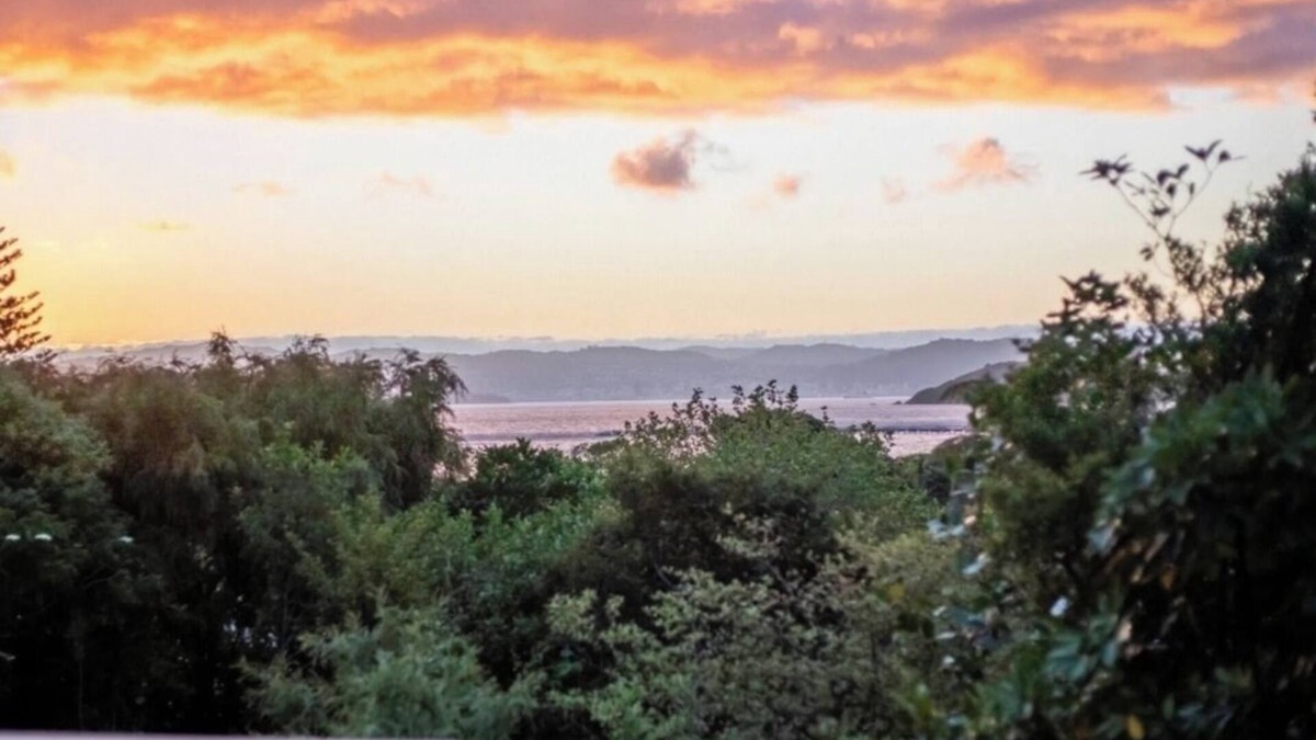 Lowry Bay House | Peace and privacy in Lowry Bay
