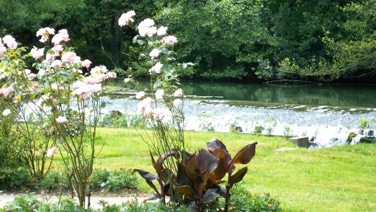 Barro House | Peace and quiet on a private island in a bucolic setting.