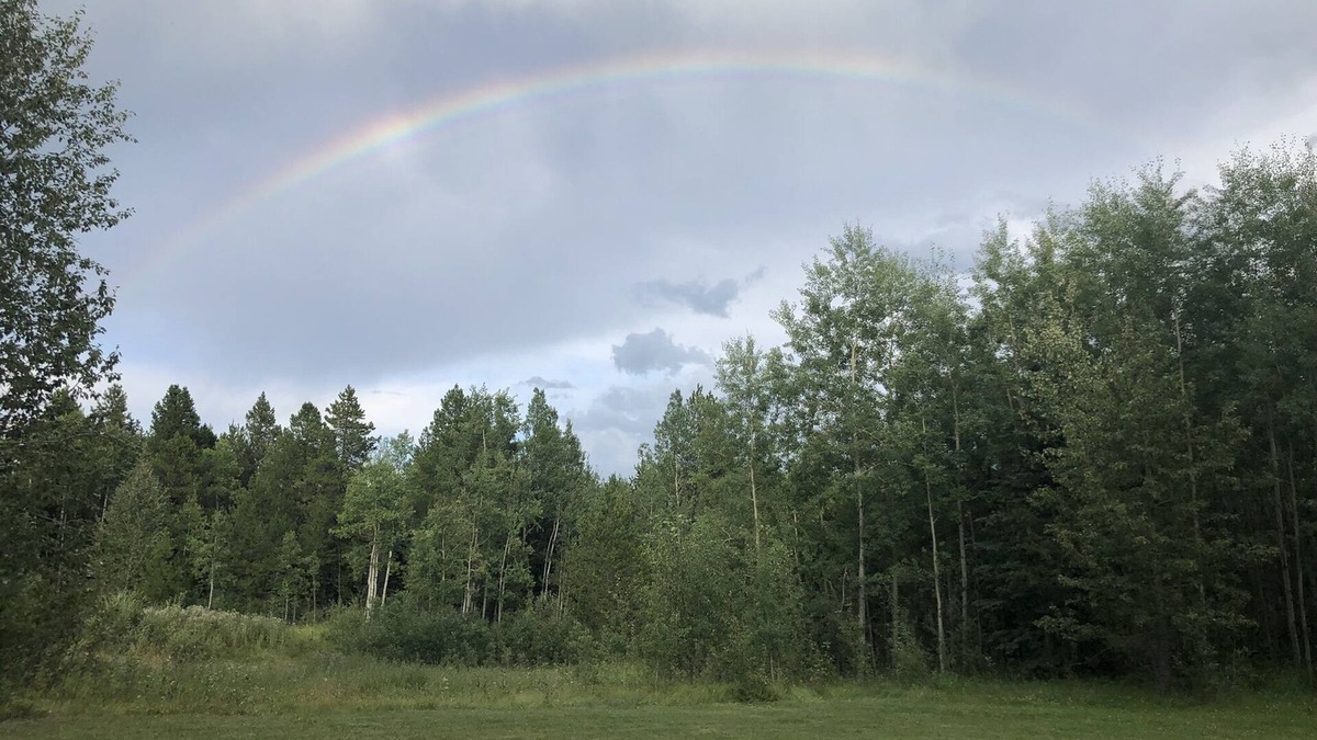 Clearwater County House | Peace and tranquility! Cozy home in forest setting.