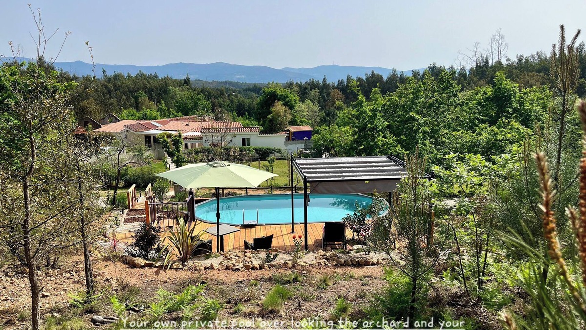 Moitas Apartment | Peace and Tranquility 1 Bedroom Apartment With Large own Private Pool fab Views