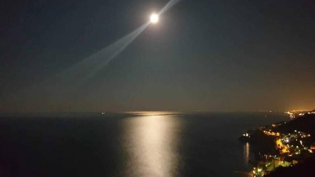 Sori House | Peace between the olive trees and the sea