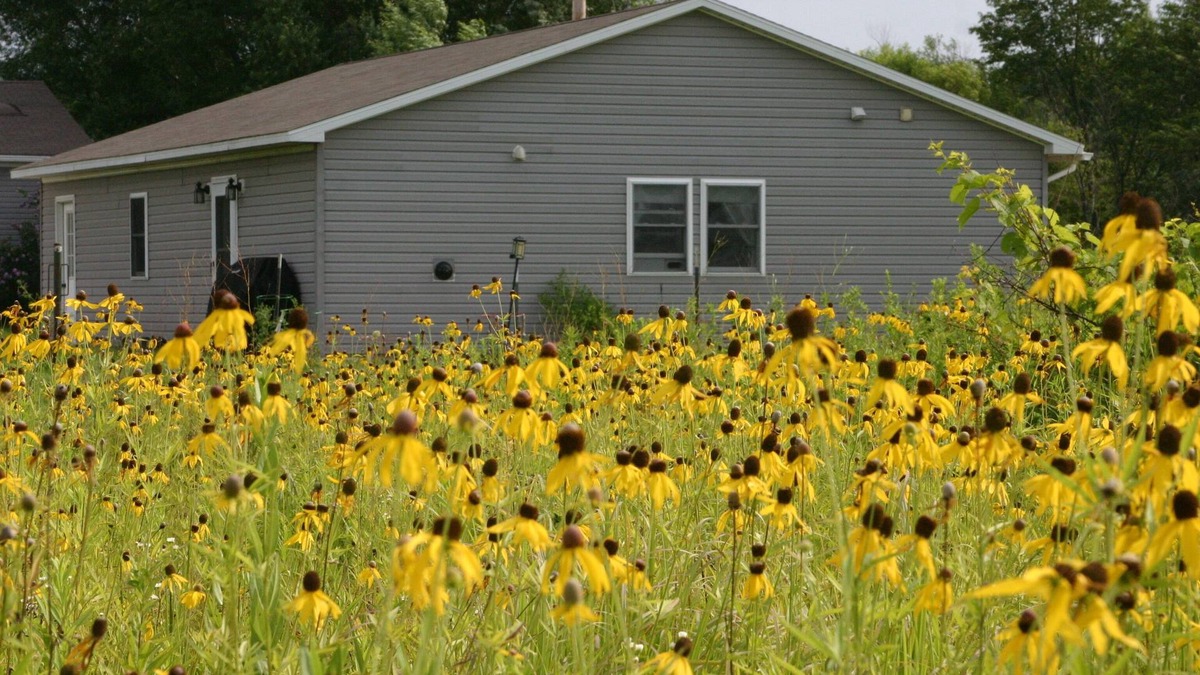 Murrayville Apartment | Peace on the Prairie: Native prairie setting - Pets allowed. No cleaning fees