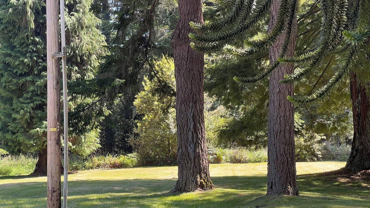 Brookings House | Peace & Quiet at the Dodge House