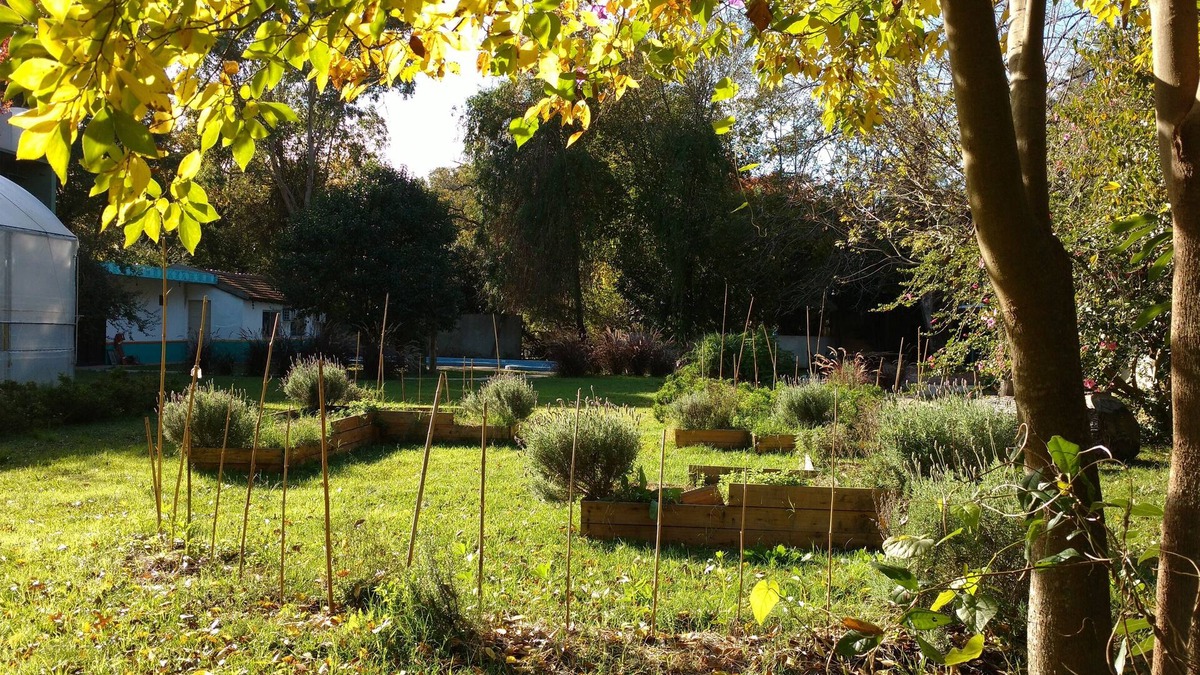 Ricardo Rojas House | Peace & quiet place. Vegetable garden.