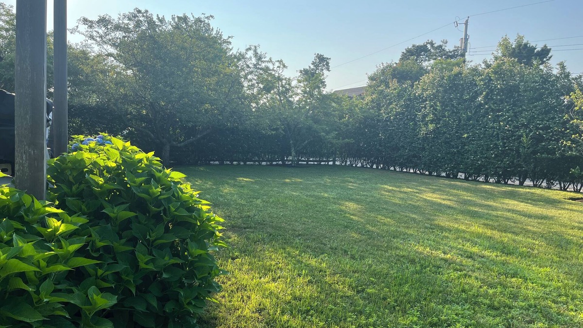 West of Town House | Peaceful and Cozy on Nantucket