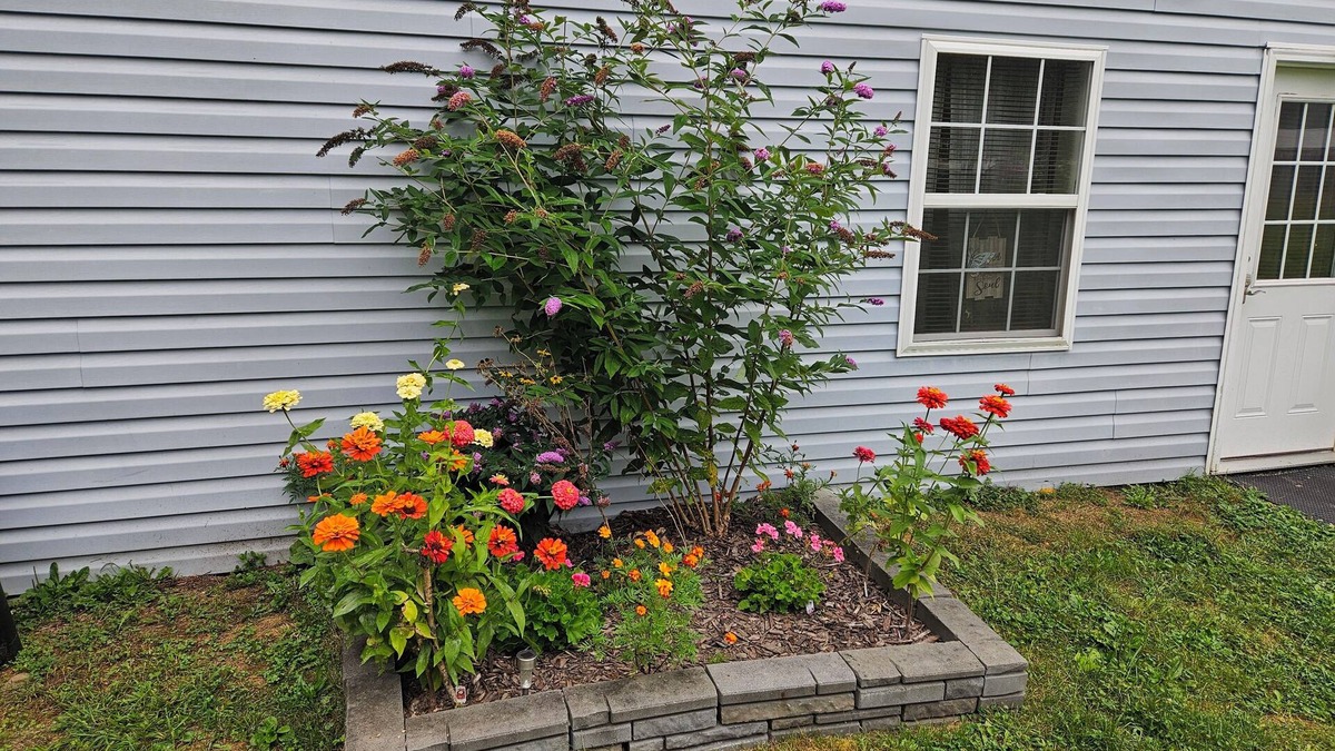 Afton House | Peaceful and private two bedroom house located in Afton NY. Family friendly.