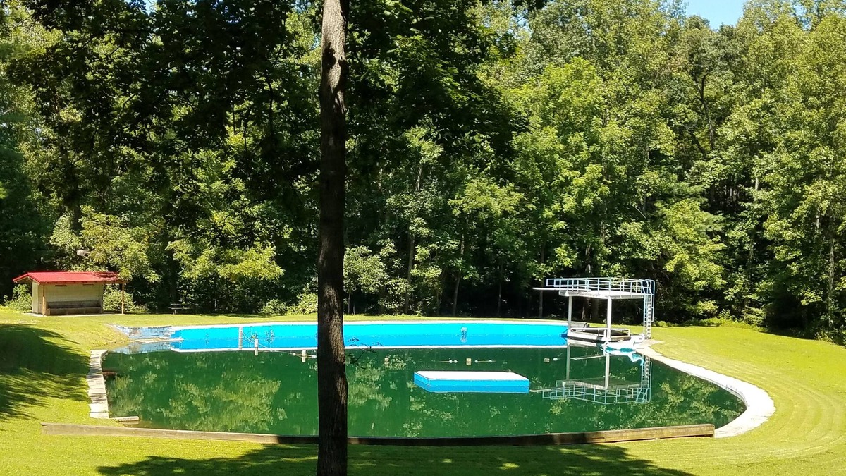 Vein Mountain House | Peaceful and Quiet Bliss with 2 ponds, nearby mtns & lake, golf cart available.