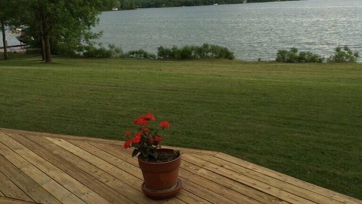 Ticonderoga House | Peaceful Beautiful View!