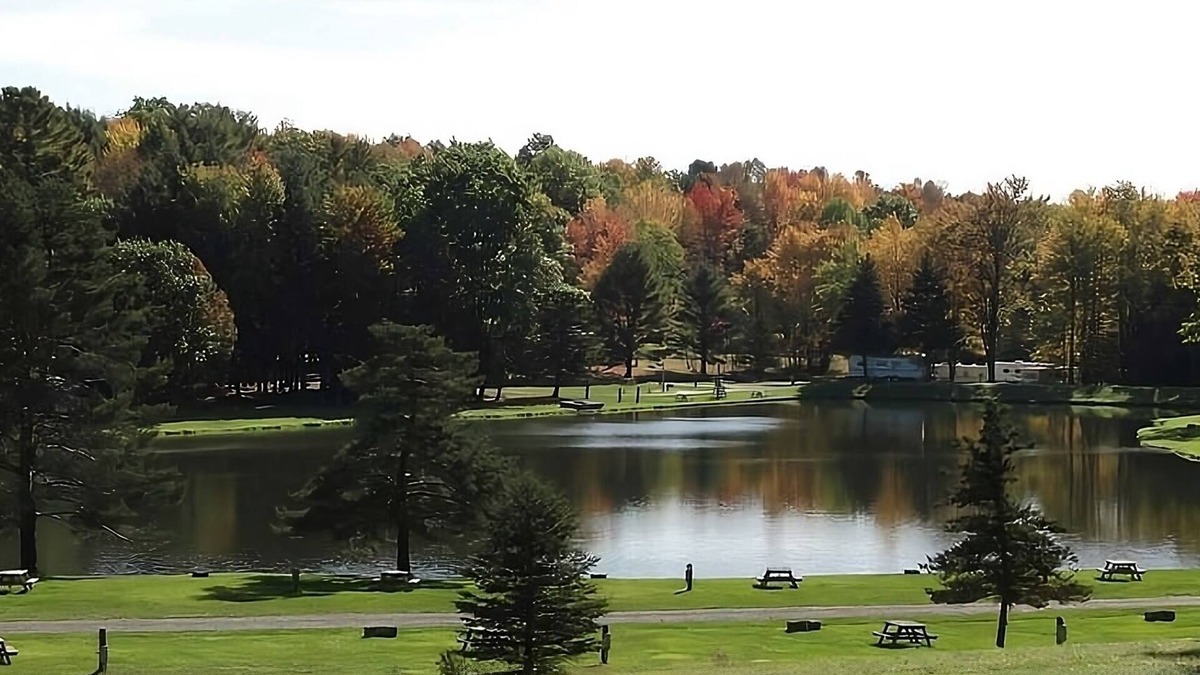 Endicott House | Peaceful Cabin Escape! Free Parking, Water Sports Activities!