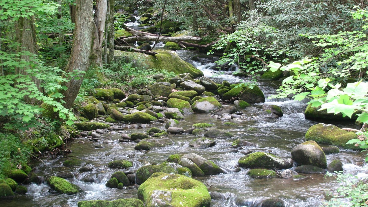 Rocky Grove Cabin | Peaceful Creekside Cabin near Gatlinburg/Pigeon Forge - PRICE MATCH RATES