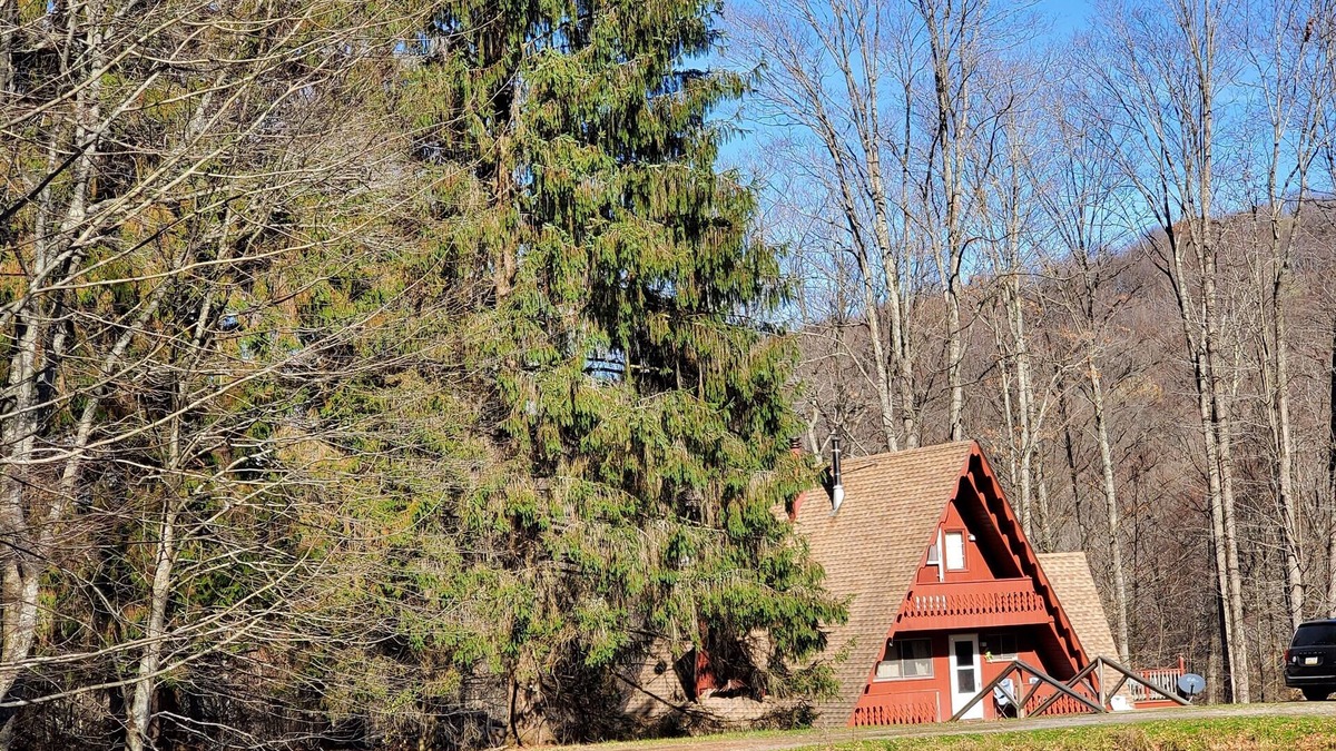 Genesee Cabin | Peaceful Days~Cozy Cabin~Sounds of Silence~Star Gazing~Relax