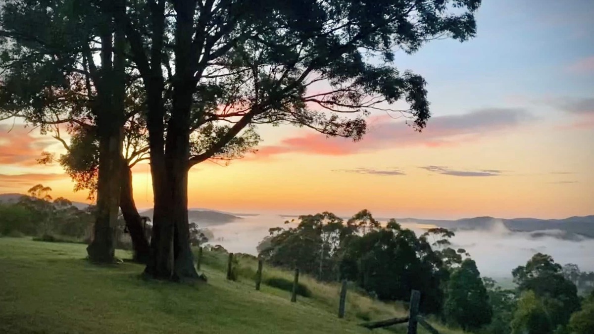 Topi Topi House | Peaceful escape with stunning views & sauna. Nr Seal Rocks. Pets okay.