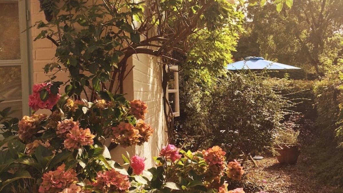 Aldborough Cottage | Peaceful getaway with riverside walks near Aylsham, Norfolk