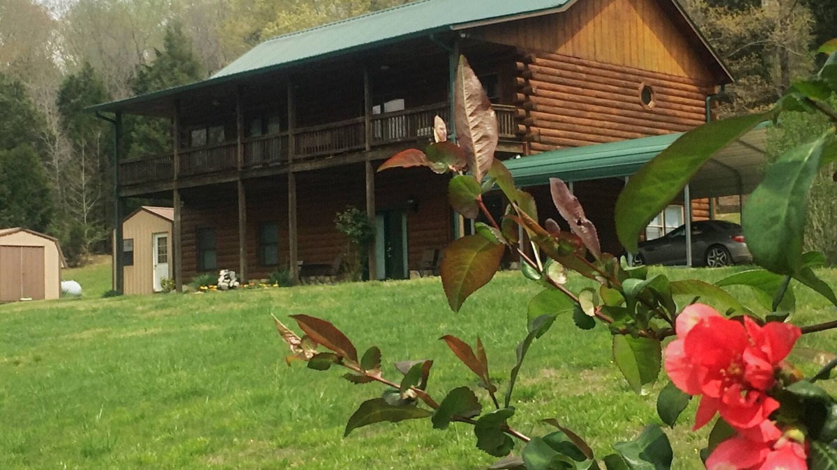 Centerville Cabin | Peaceful Hills Cabin is clean, family-friendly and quiet on 97 acres with creek.