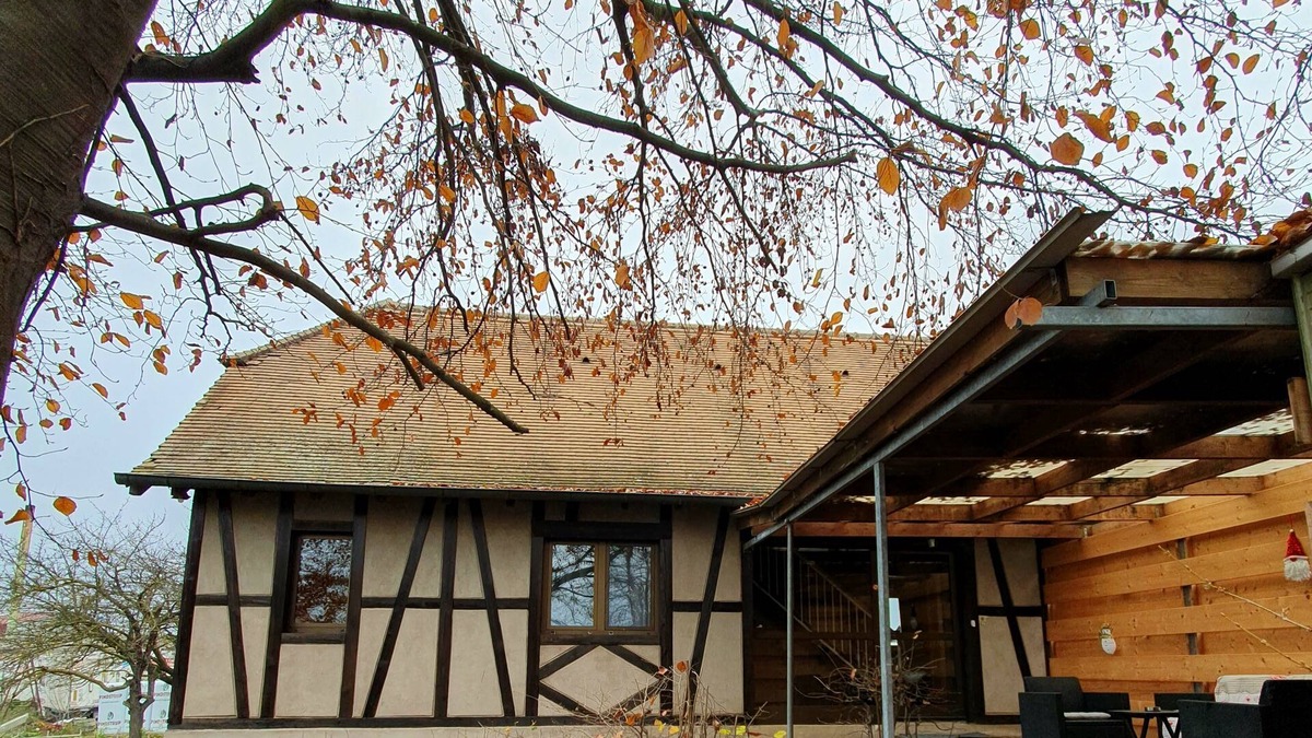 Baldenheim House | Peaceful house in the heart of Alsace
