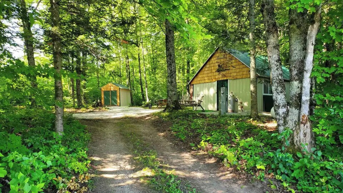McMillan Cabin | Peaceful Little Cabin